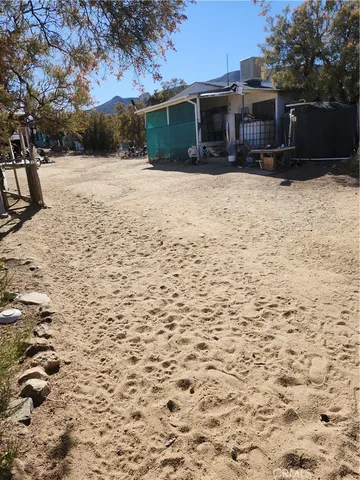 a view of road with large trees