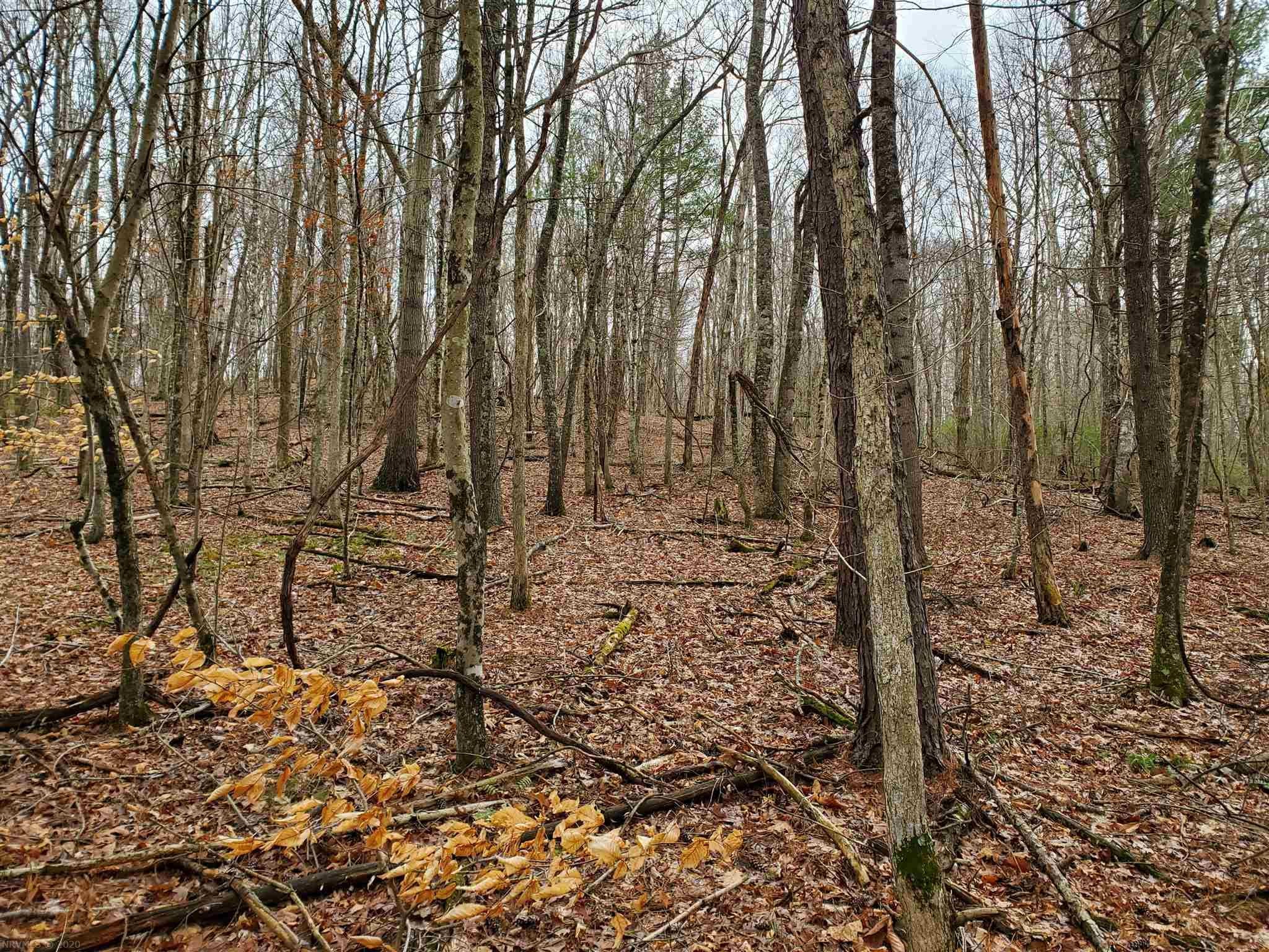 4860 Morris Road Hiwassee, VA 24347 - Photo 11 of 13 Gallery Image 11