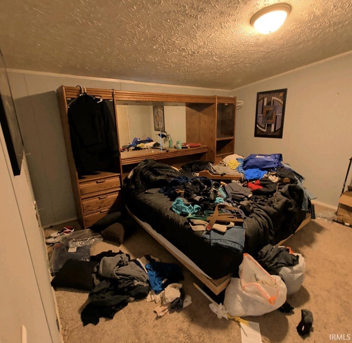 7348 West Division Line Road Delphi, IN 46923 - Photo 7 of 14