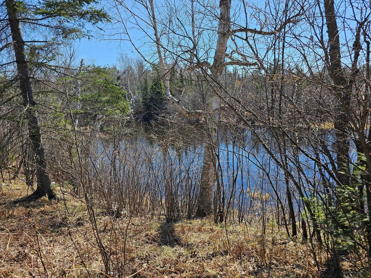 Lot 9 Weber Lake Road Mercer, WI 54547 - Photo 14 of 15 Gallery Image 14