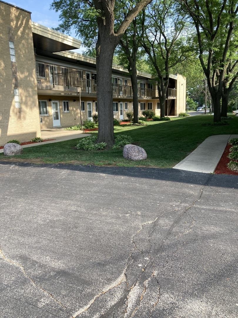 1017 Peterson Avenue, Unit A4 Park Ridge, IL 60068 - Photo 3 of 10 a view of a house with a yard and large tree