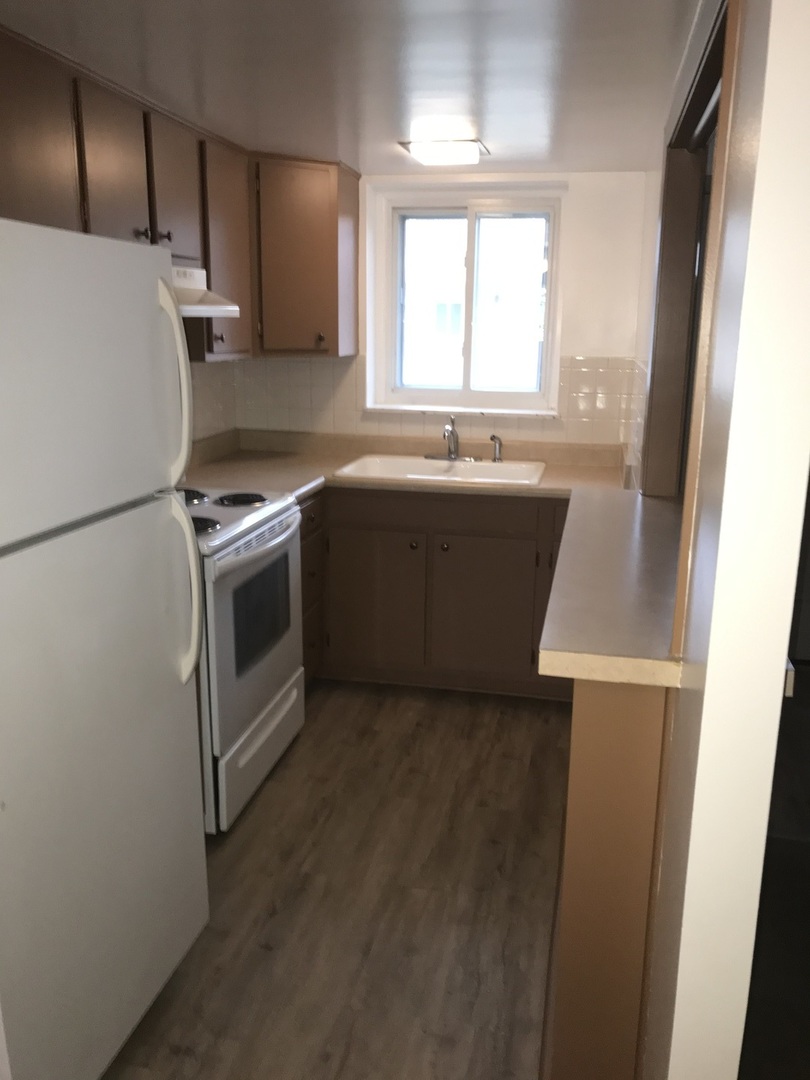 1017 Peterson Avenue, Unit A4 Park Ridge, IL 60068 - Photo 7 of 10 a kitchen with a refrigerator and a sink