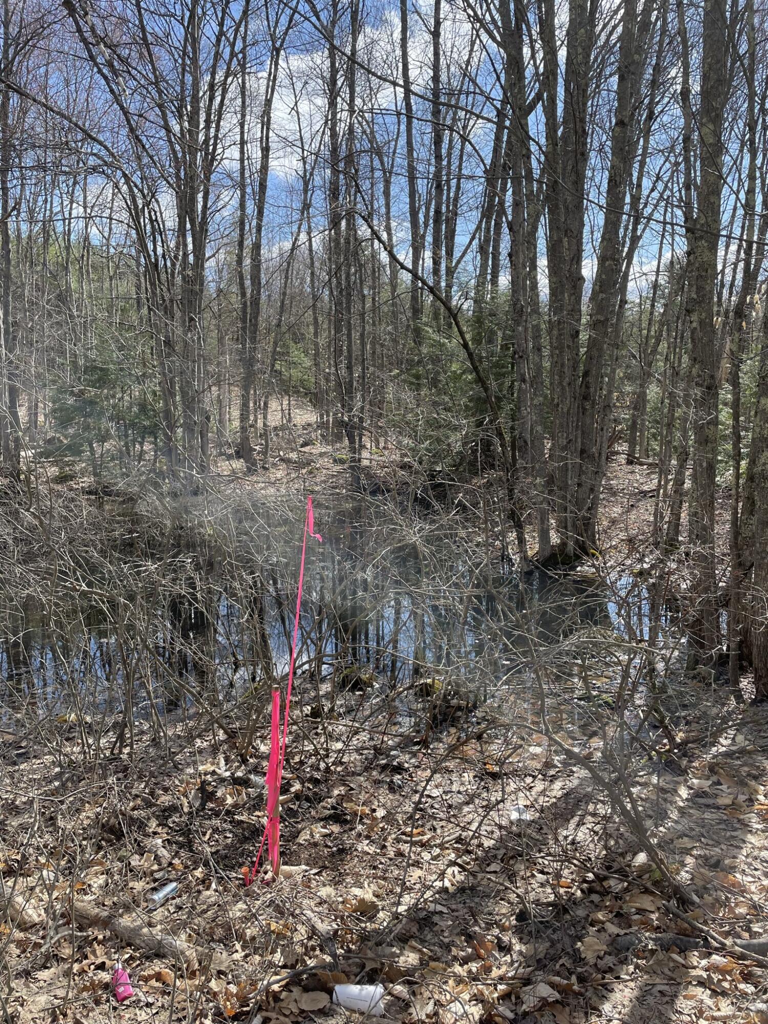 Lot A Stanley Road Springvale, ME 04083 - Photo 2 of 10 IMG_2419