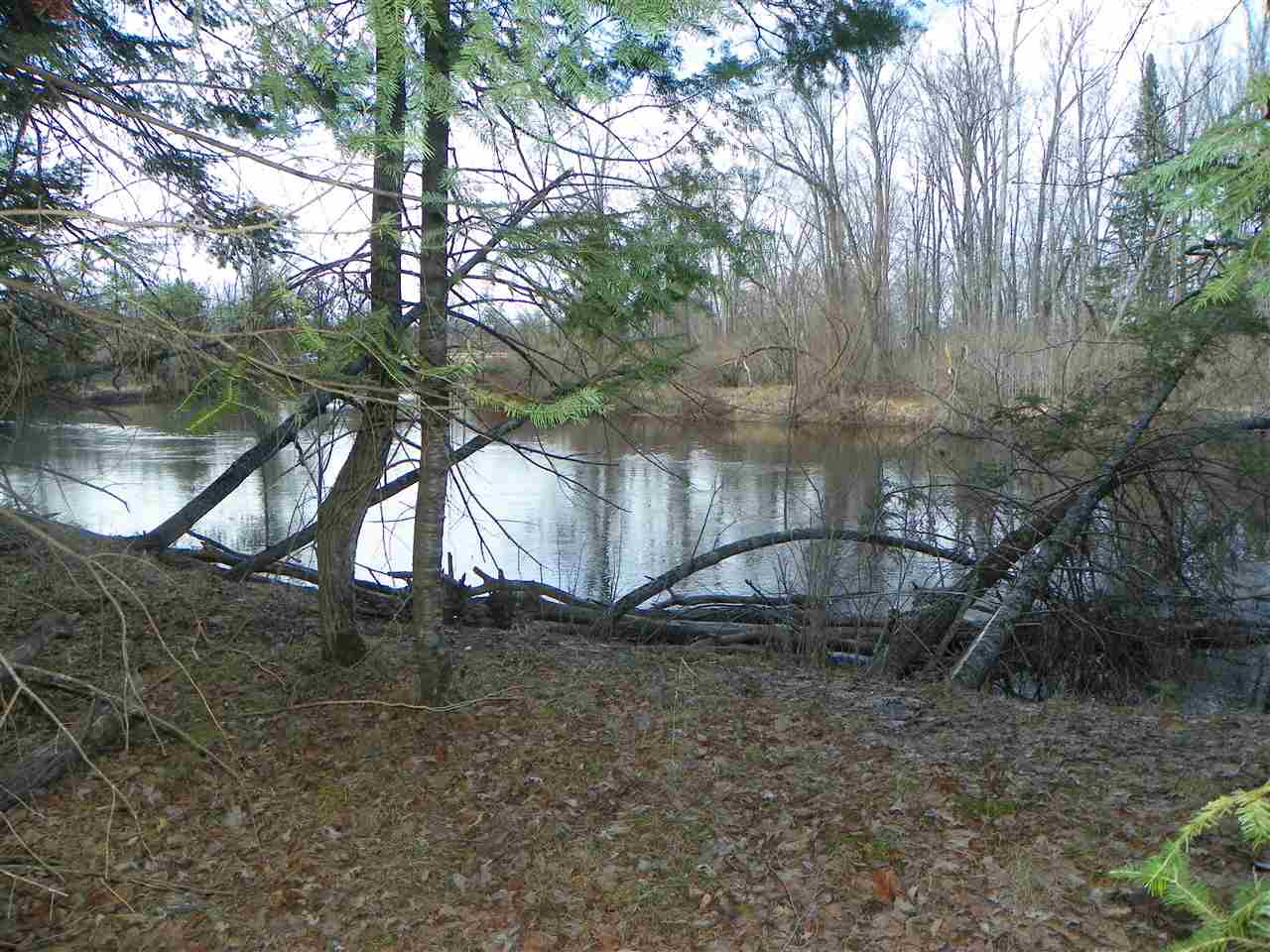 Tbd Tbd Pine Marion, MI 49665 - Photo 7 of 18