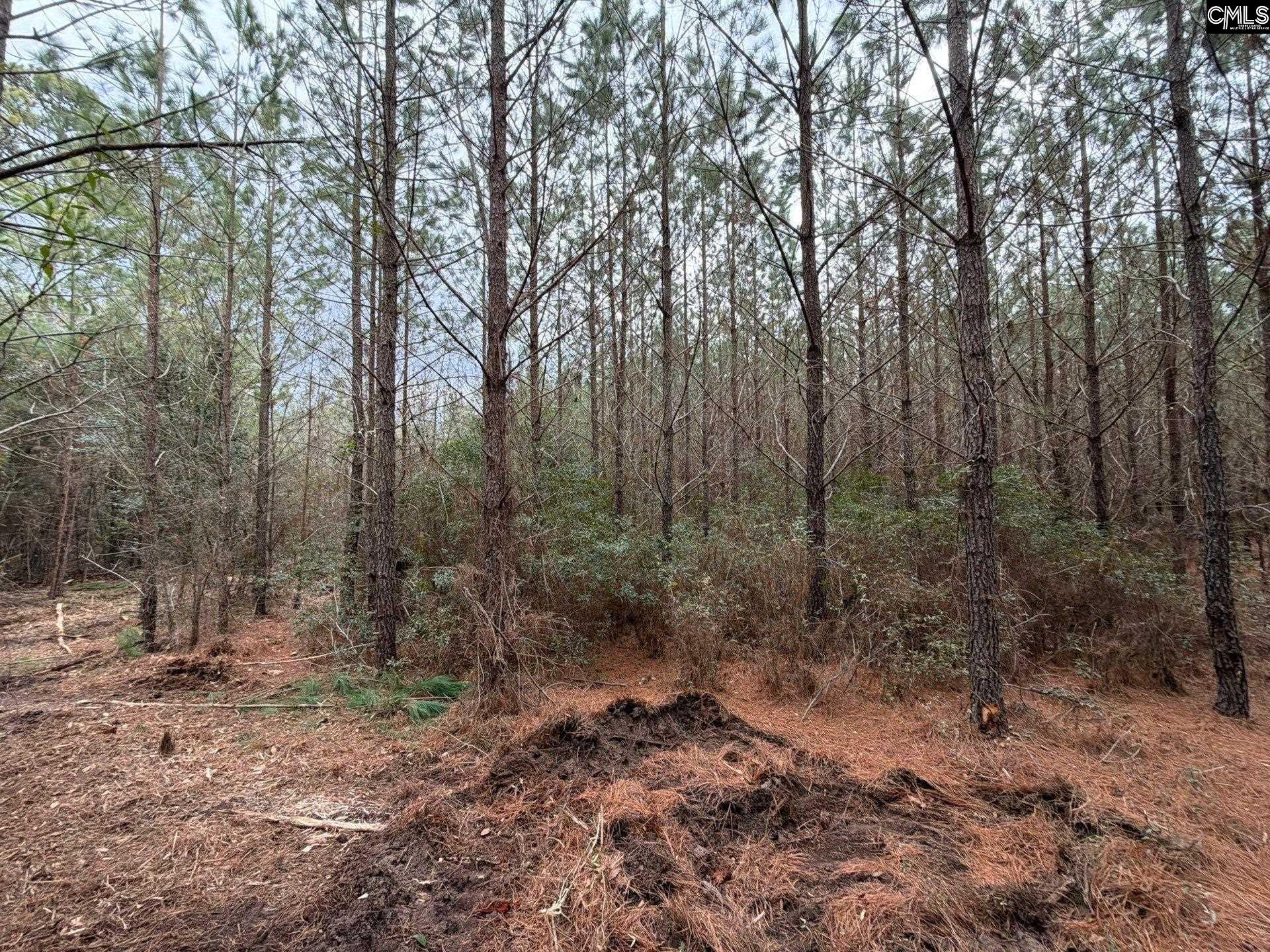 2 Jc Barefoot Road, Unit BFF II 2 Patrick, SC 29584 - Photo 2 of 13