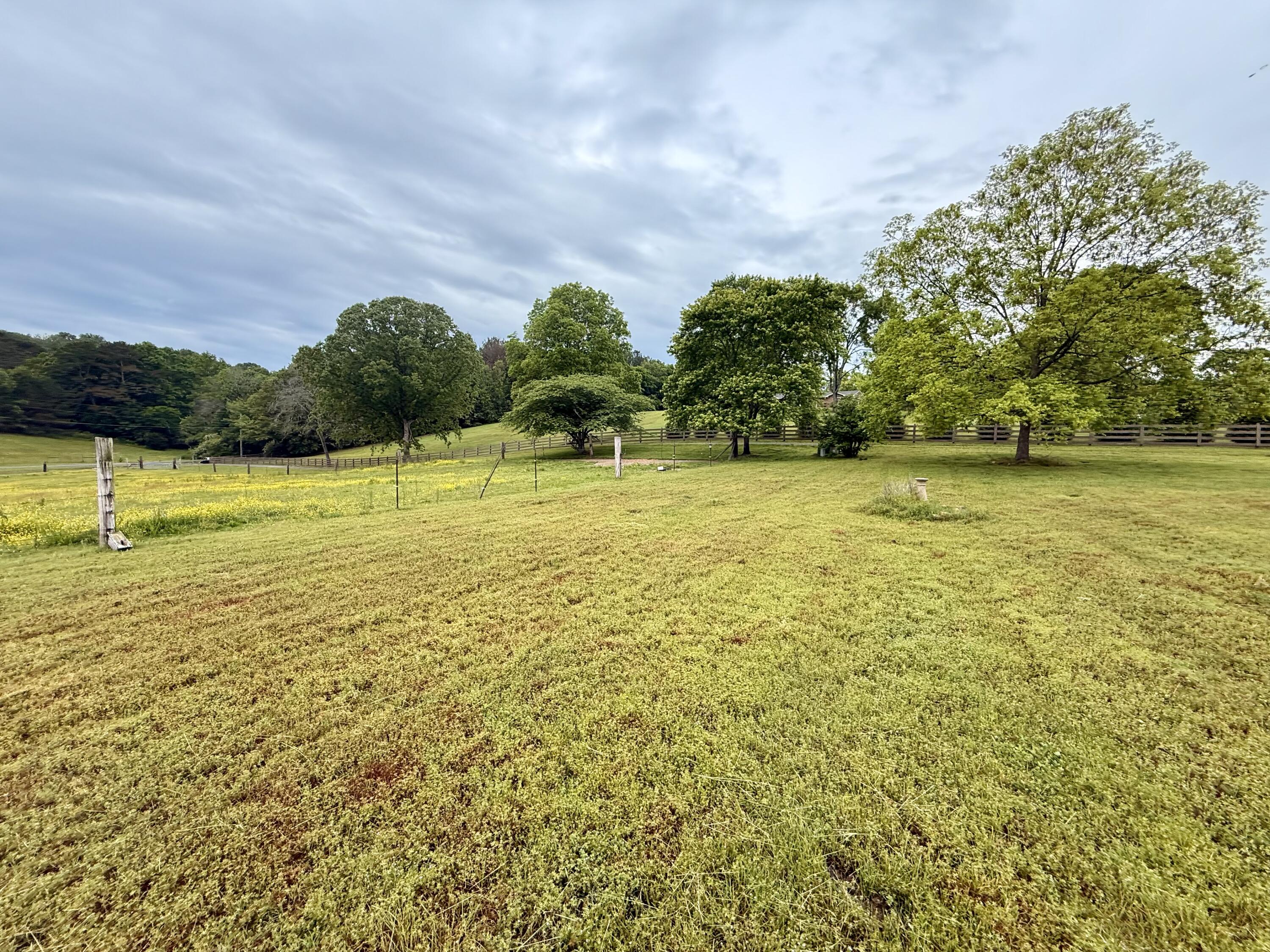 667 Chandler Road Chickamauga, GA 30707 - Photo 54 of 77 IMG_6073