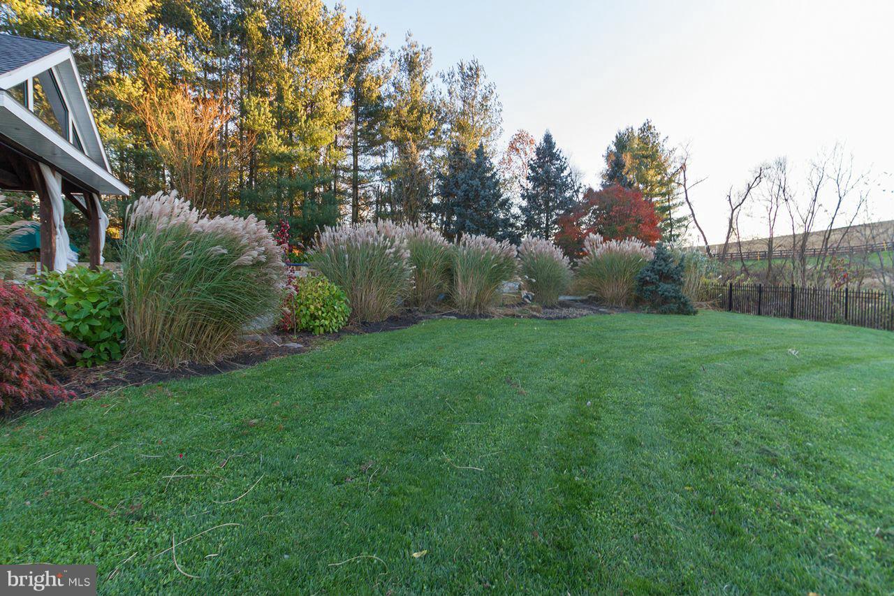 2223 Corbett Road Monkton, MD 21111 - Photo 26 of 30 a view of a backyard with potted plants and large trees