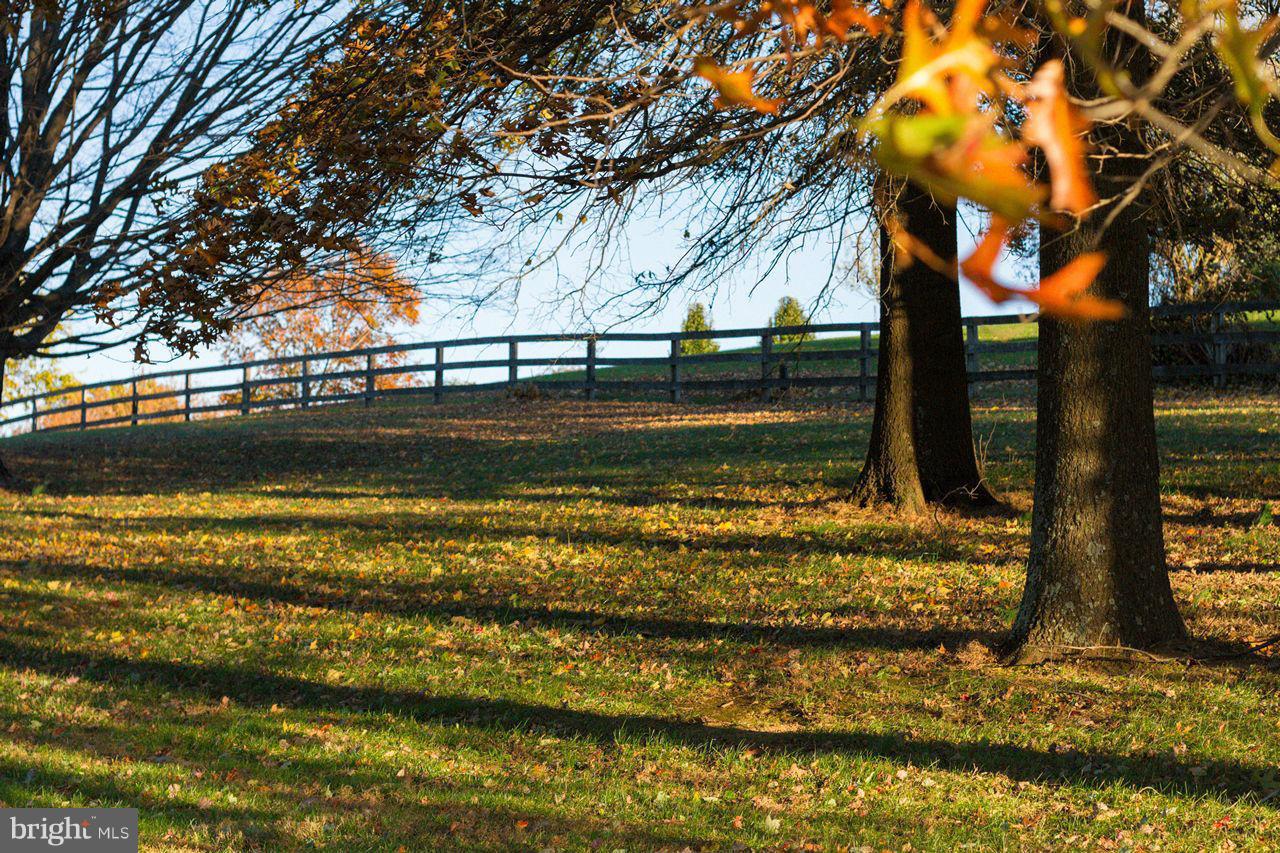 2223 Corbett Road Monkton, MD 21111 - Photo 29 of 30 a view of a yard with an trees