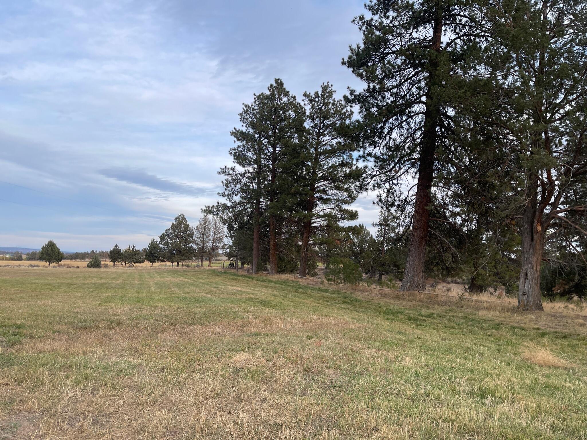 64325 Tyler Road Bend, OR 97703 - Photo 33 of 65 IMG-1993 (1)