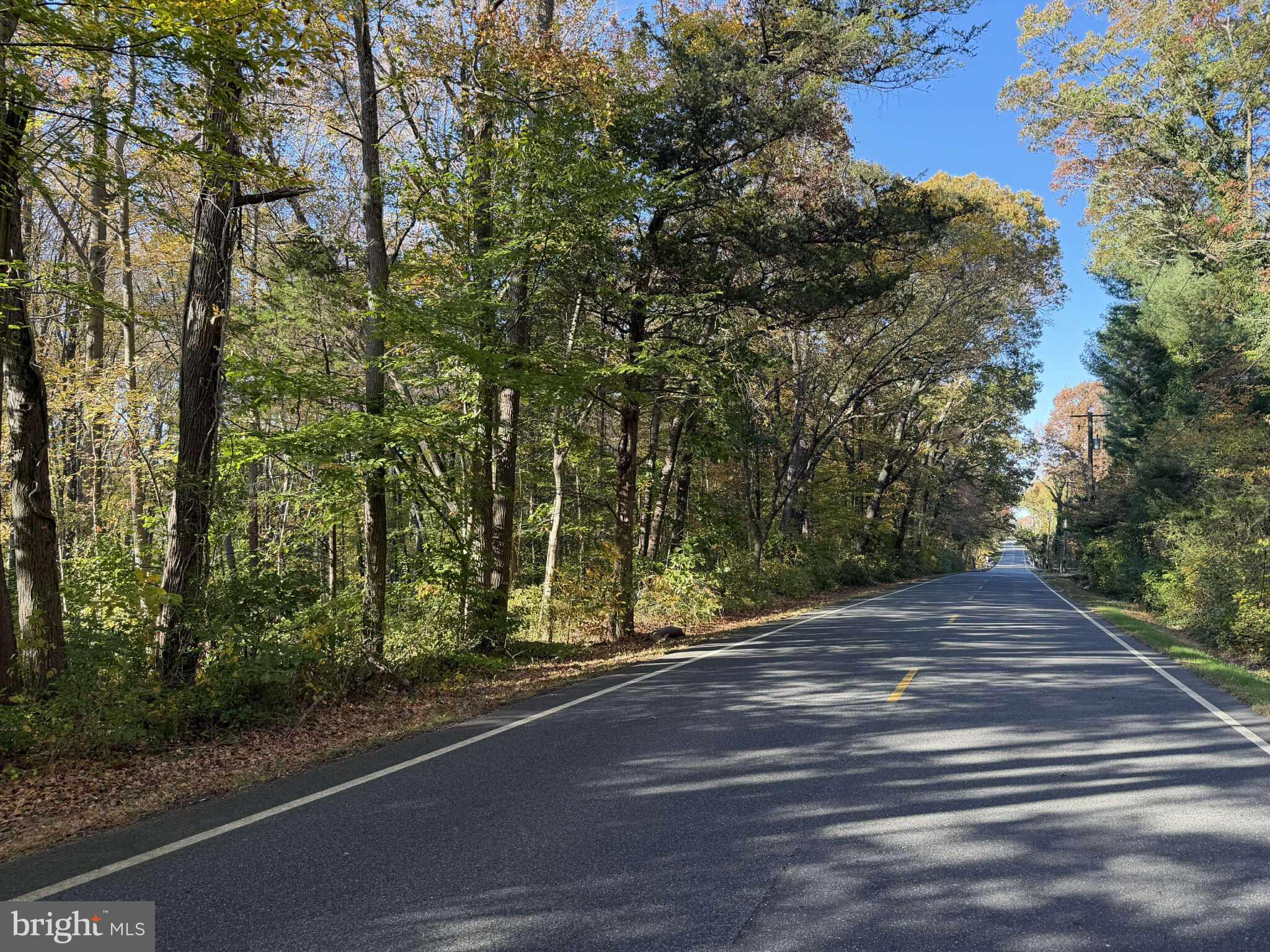 0 Woodstown Road Woodstown, NJ 08098 - Photo 3 of 6 a view of a yard with plants and trees