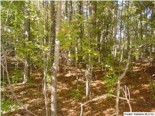 Old Choccolocco Road, Unit 73 Anniston, AL 36207 - Photo 29 of 30