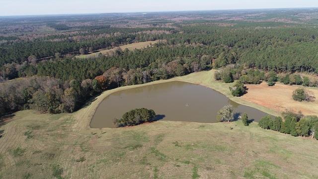 1245 Pine Lake Road West Point, GA 31833 - Photo 1 of 15 Main View