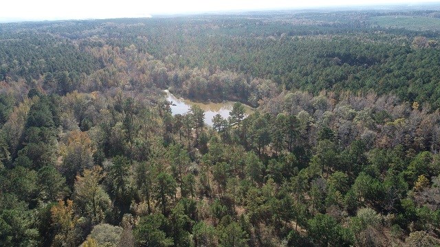 1245 Pine Lake Road West Point, GA 31833 - Photo 6 of 15 Gallery Image 6