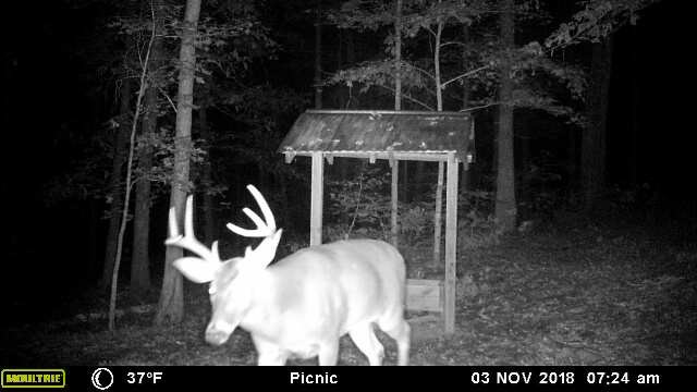 1245 Pine Lake Road West Point, GA 31833 - Photo 8 of 15 Gallery Image 8