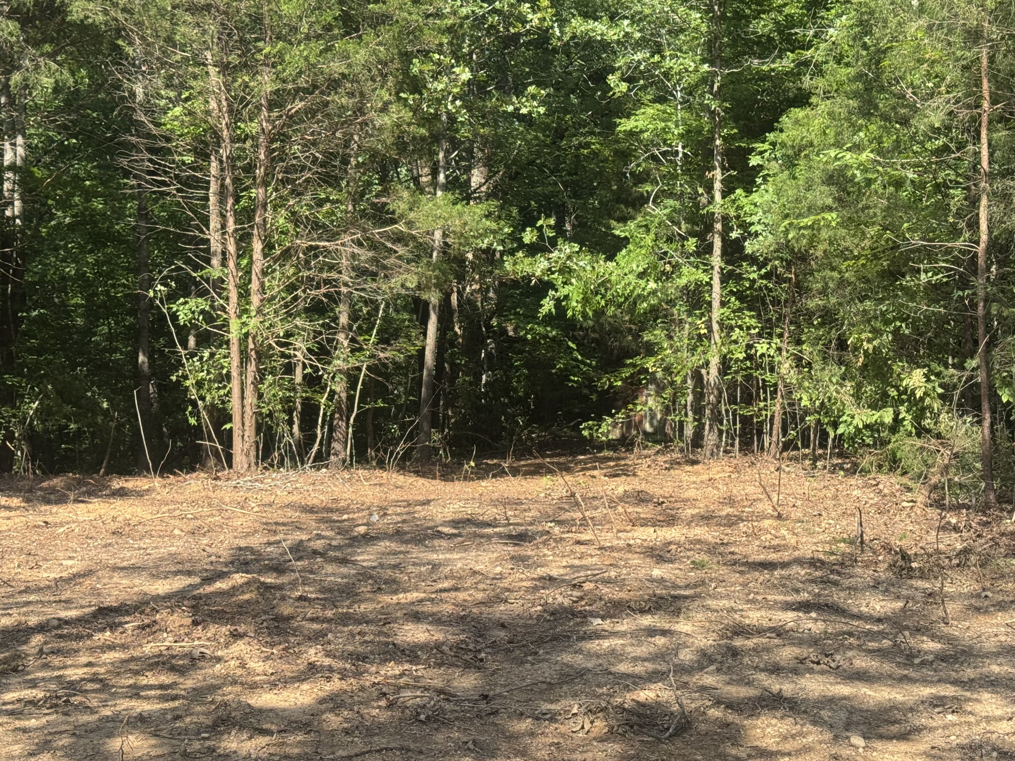 1 Commissary Ridge Road Indian Mound, TN 37079 - Photo 3 of 9 a view of empty space with trees