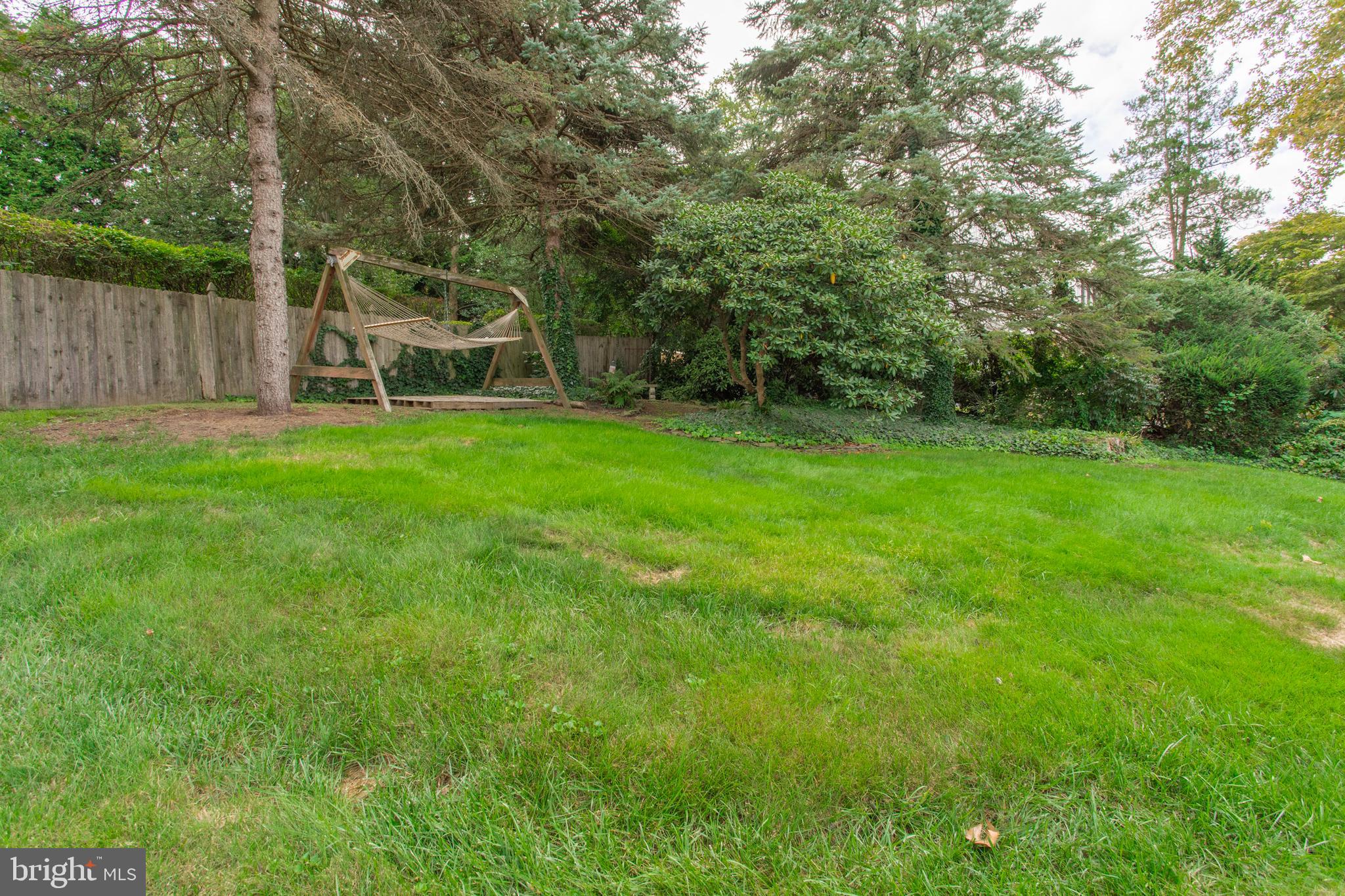 116 Scenic Road Springfield, PA 19064 - Photo 44 of 49 Plenty of space to play and relax