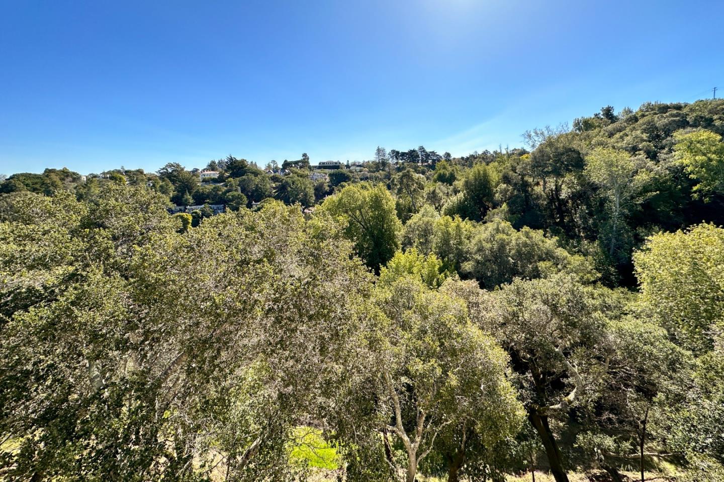 20 Pine Court Hillsborough, CA 94010 - Photo 9 of 14 a view of a building
