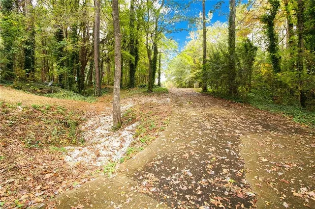 a view of a yard with large trees