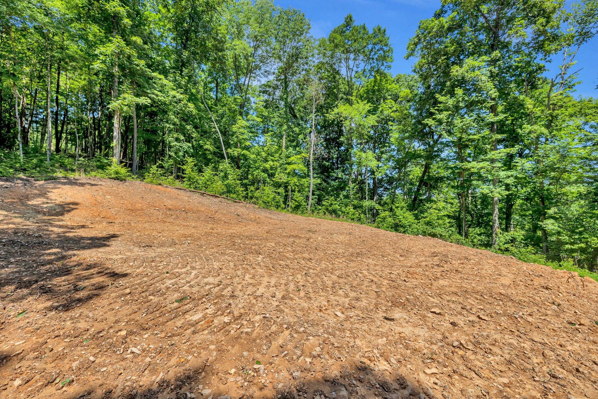 0 Lickton Pike Goodlettsville, TN 37072 - Photo 11 of 29 a view of a backyard of a house