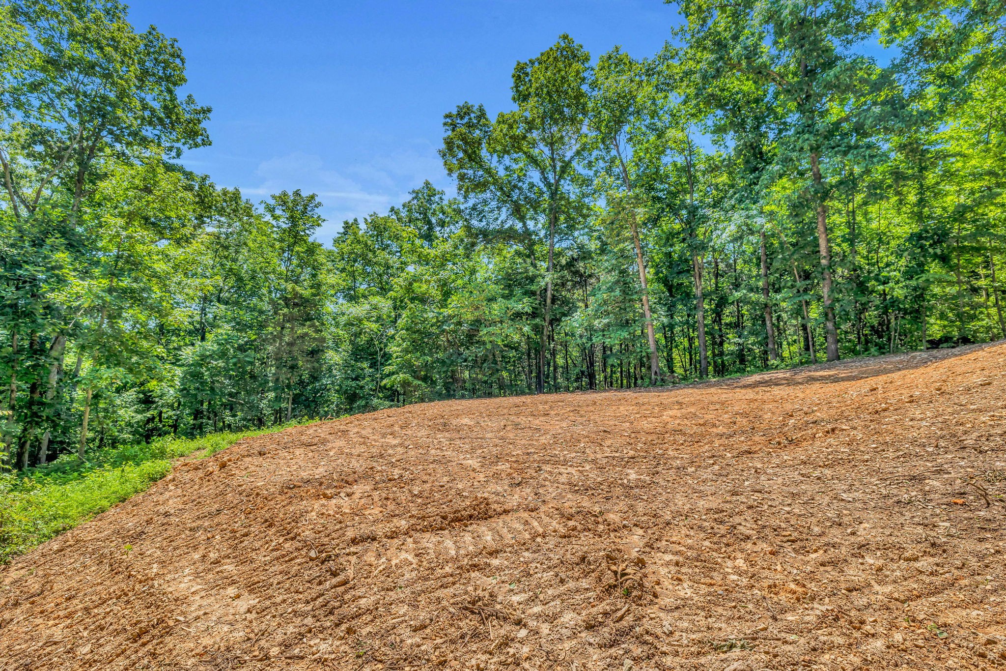 0 Lickton Pike Goodlettsville, TN 37072 - Photo 12 of 29 a view of a backyard of a house