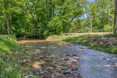 a view of outdoor space with trees all around