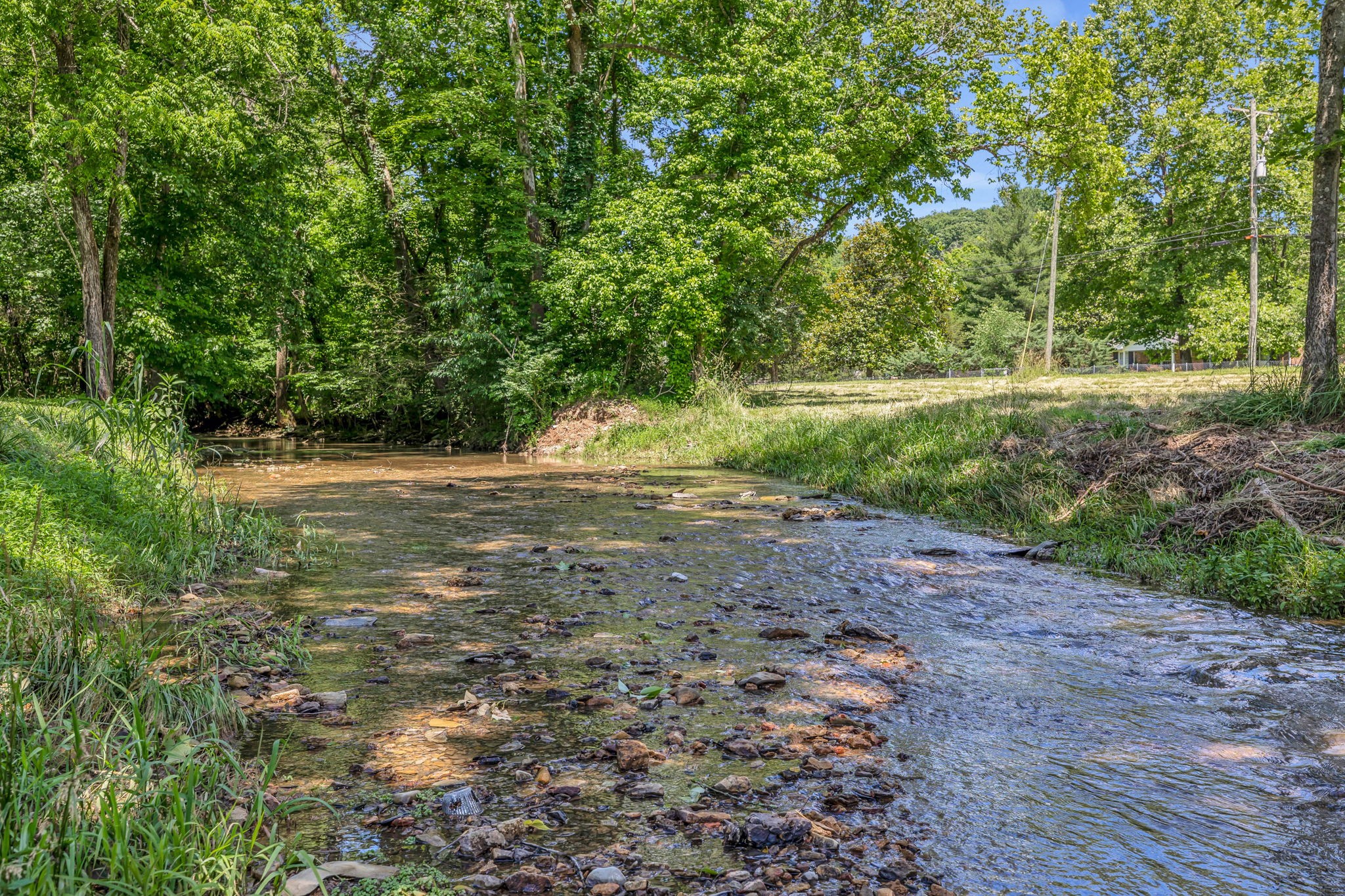 0 Lickton Pike Goodlettsville, TN 37072 - Photo 13 of 29 a view of outdoor space with trees all around