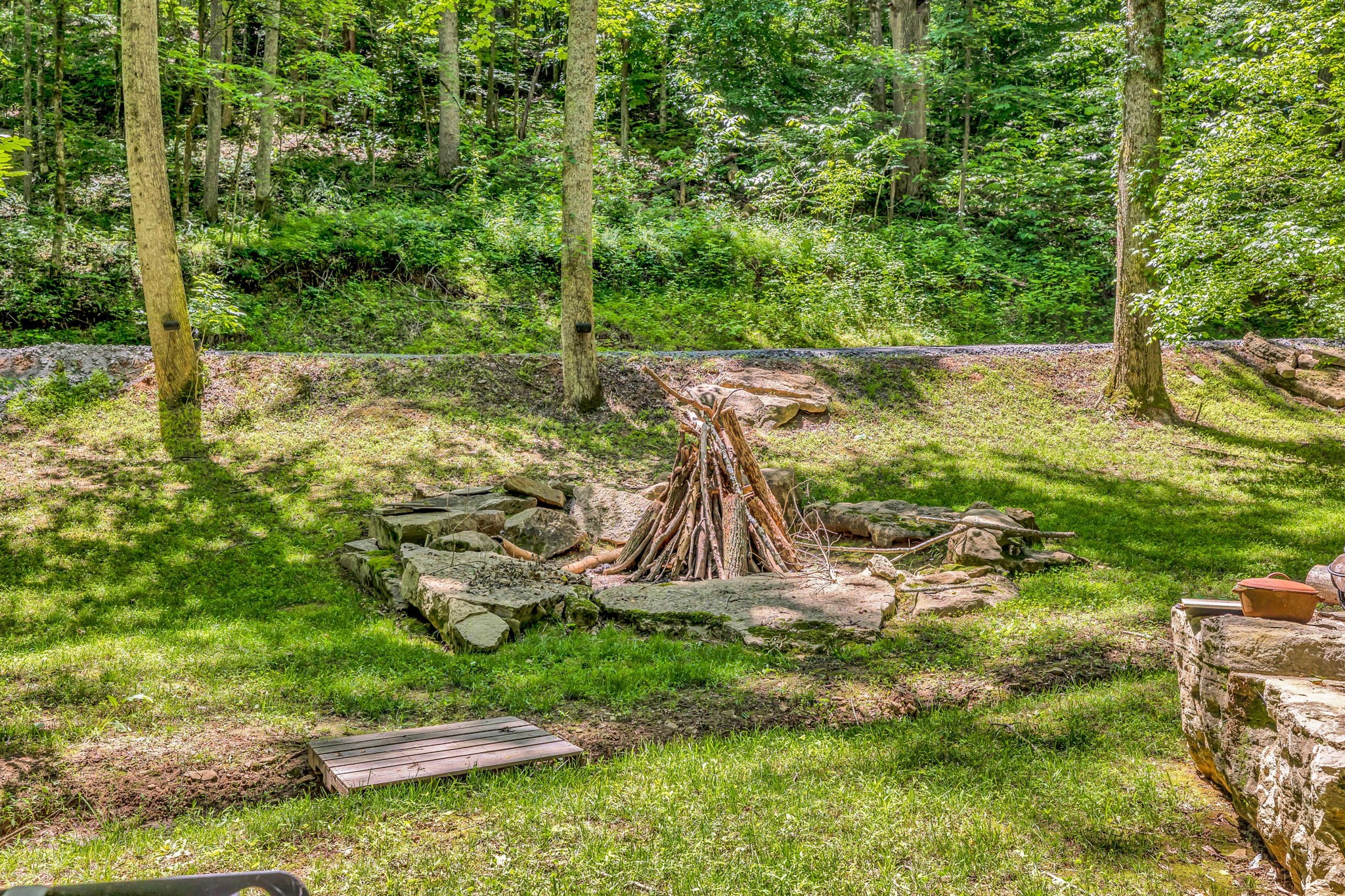 0 Lickton Pike Goodlettsville, TN 37072 - Photo 17 of 29 a view of a garden with a slide