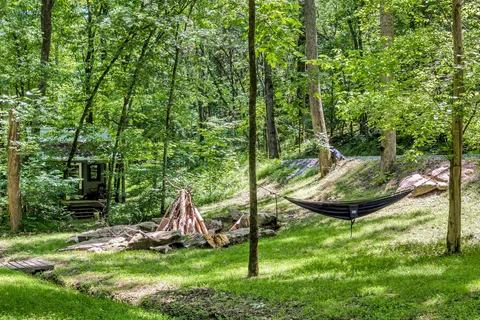 a view of a backyard with plants and a slide