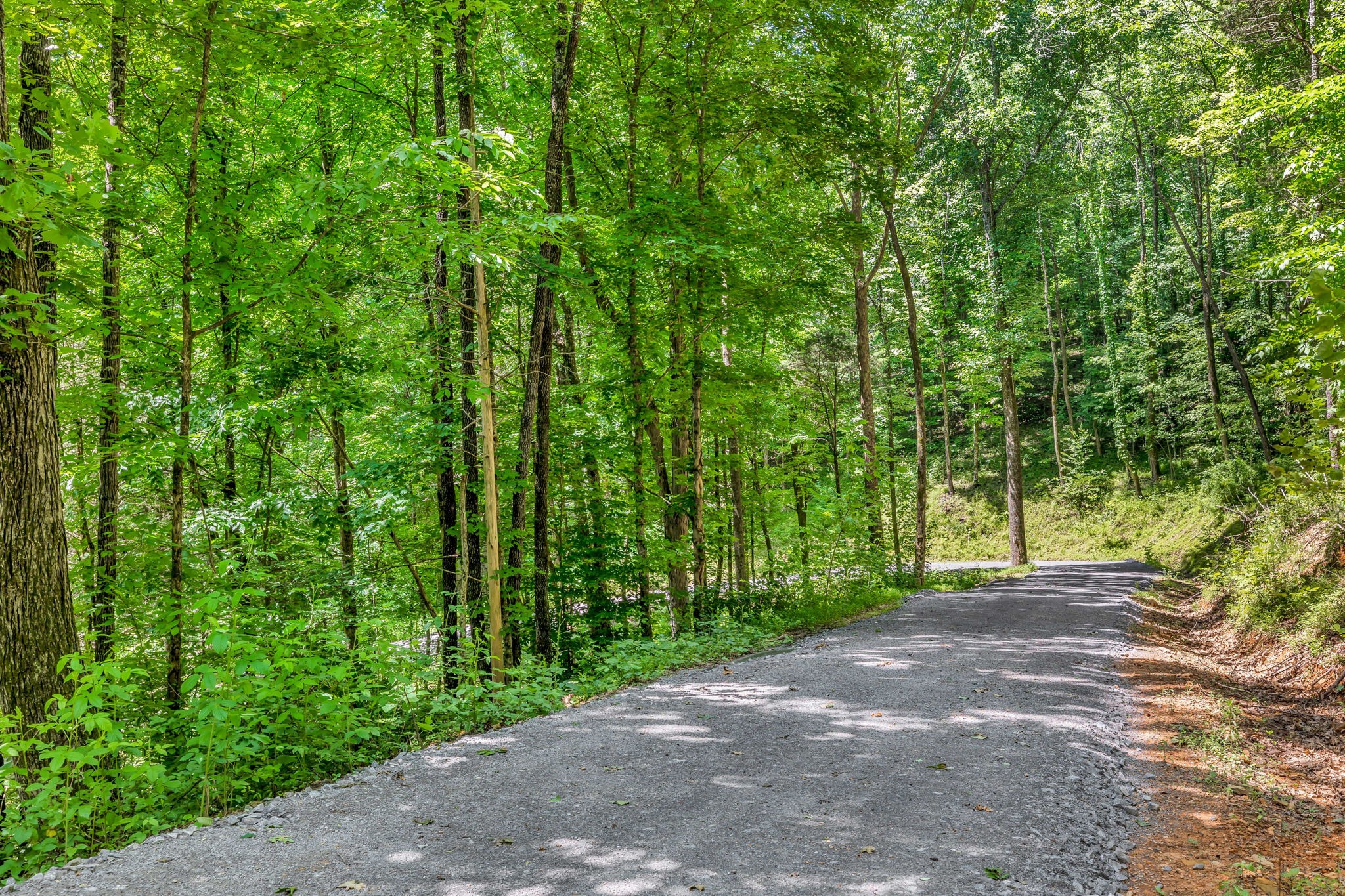 0 Lickton Pike Goodlettsville, TN 37072 - Photo 20 of 29 a view of a yard with plants and trees