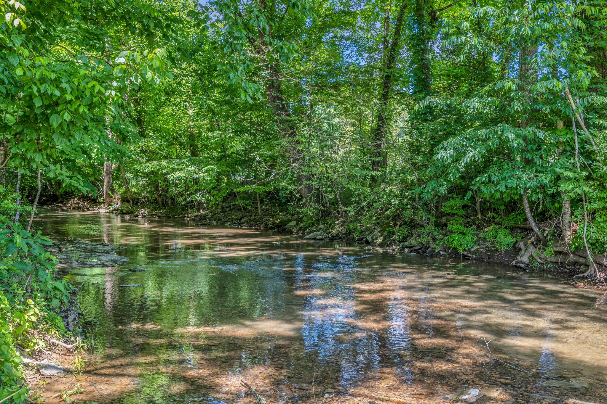 0 Lickton Pike Goodlettsville, TN 37072 - Photo 2 of 29 a view of a lake view