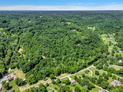 a view of a green field with lots of bushes