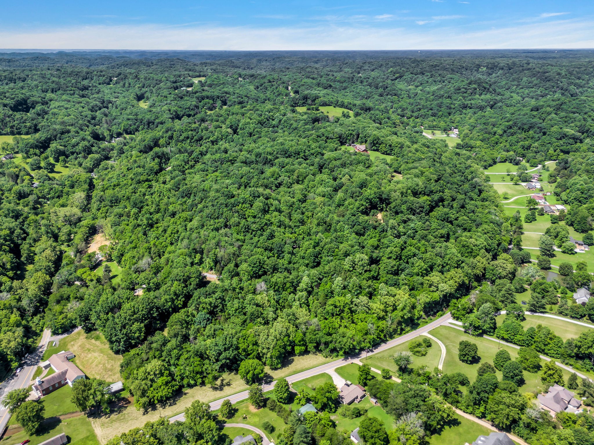 0 Lickton Pike Goodlettsville, TN 37072 - Photo 24 of 29 a view of a green field with lots of bushes