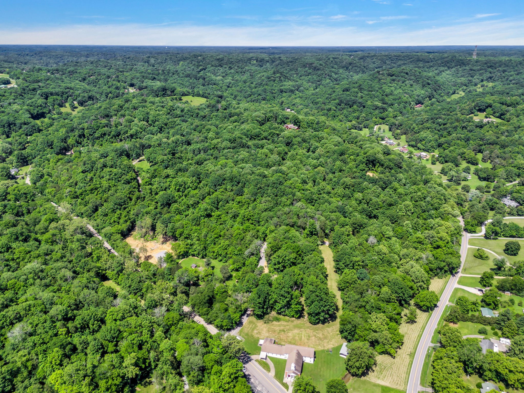 0 Lickton Pike Goodlettsville, TN 37072 - Photo 25 of 29 a view of a green field with lots of bushes