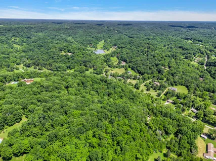 a view of a green field with lots of bushes