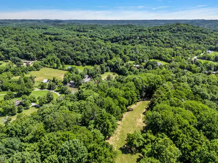 a view of a green field with lots of bushes