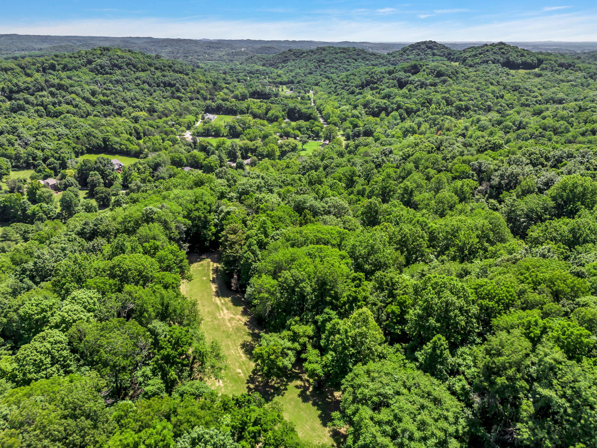 0 Lickton Pike Goodlettsville, TN 37072 - Photo 29 of 29 a view of a green field with lots of bushes
