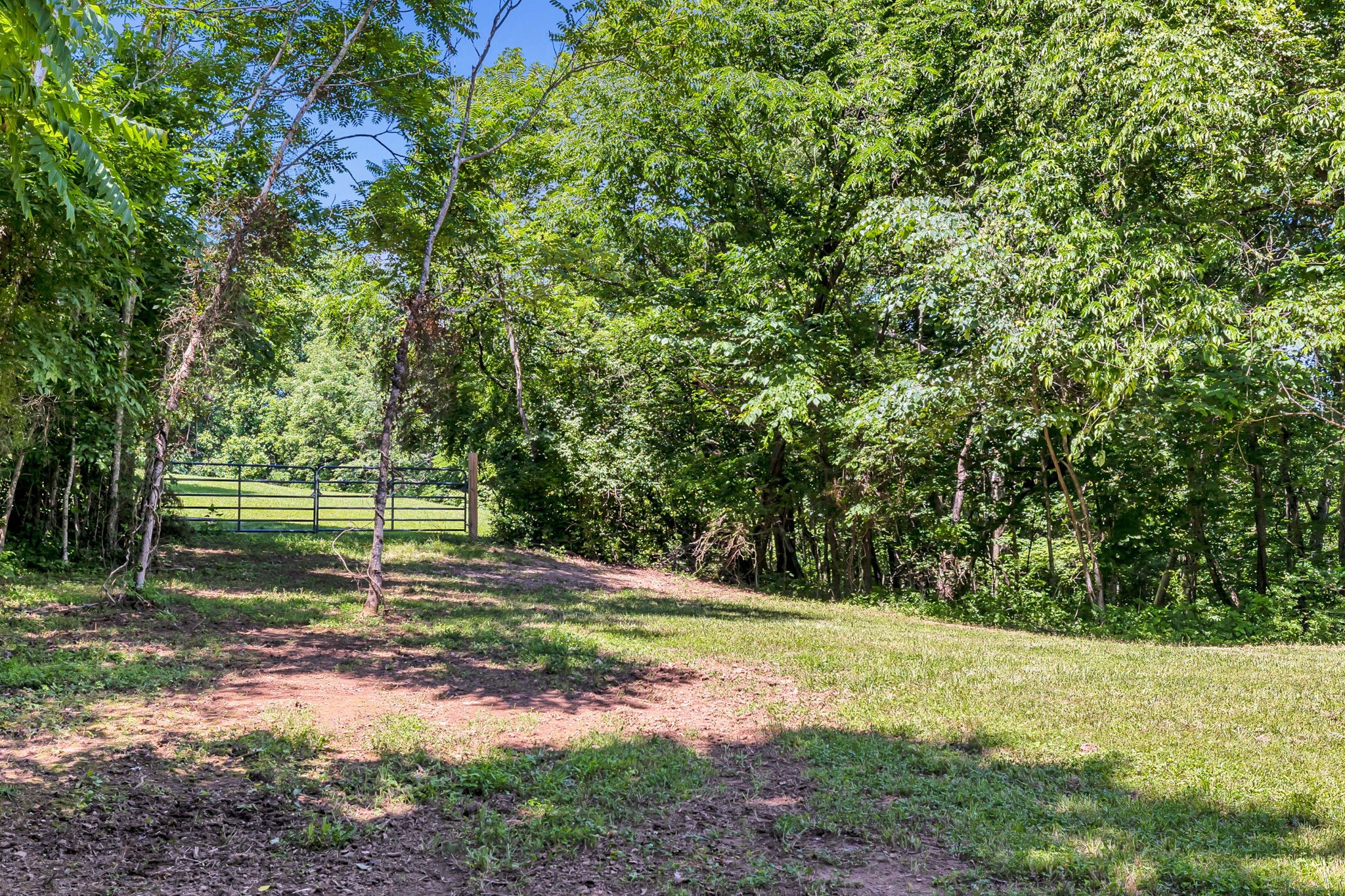 0 Lickton Pike Goodlettsville, TN 37072 - Photo 5 of 29 a view of a golf ground with large trees