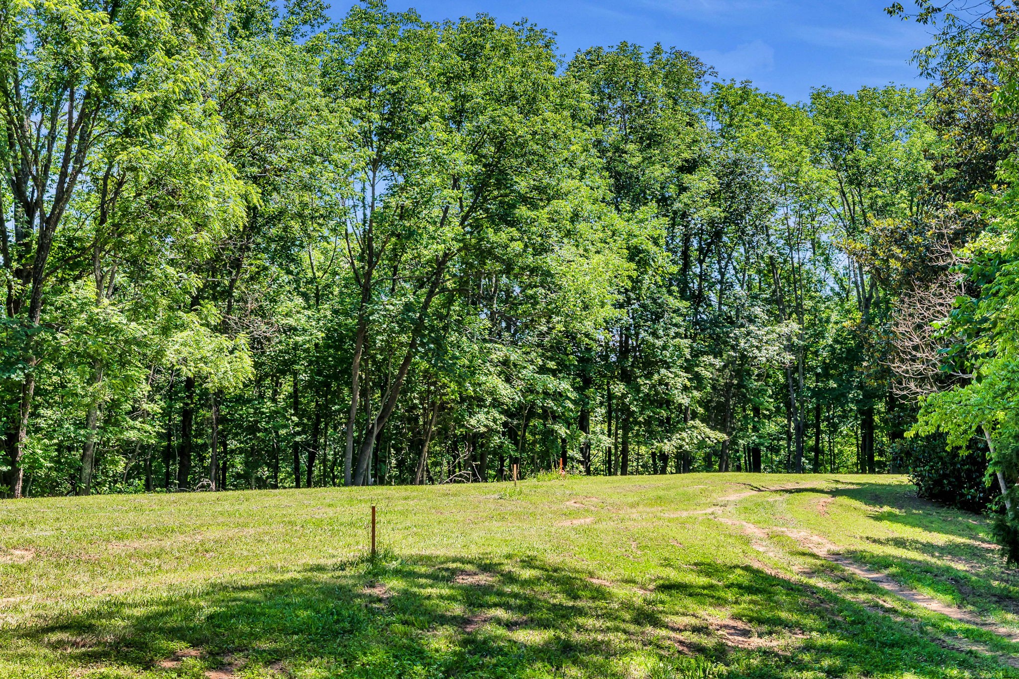 0 Lickton Pike Goodlettsville, TN 37072 - Photo 6 of 29 a view of an outdoor space and yard