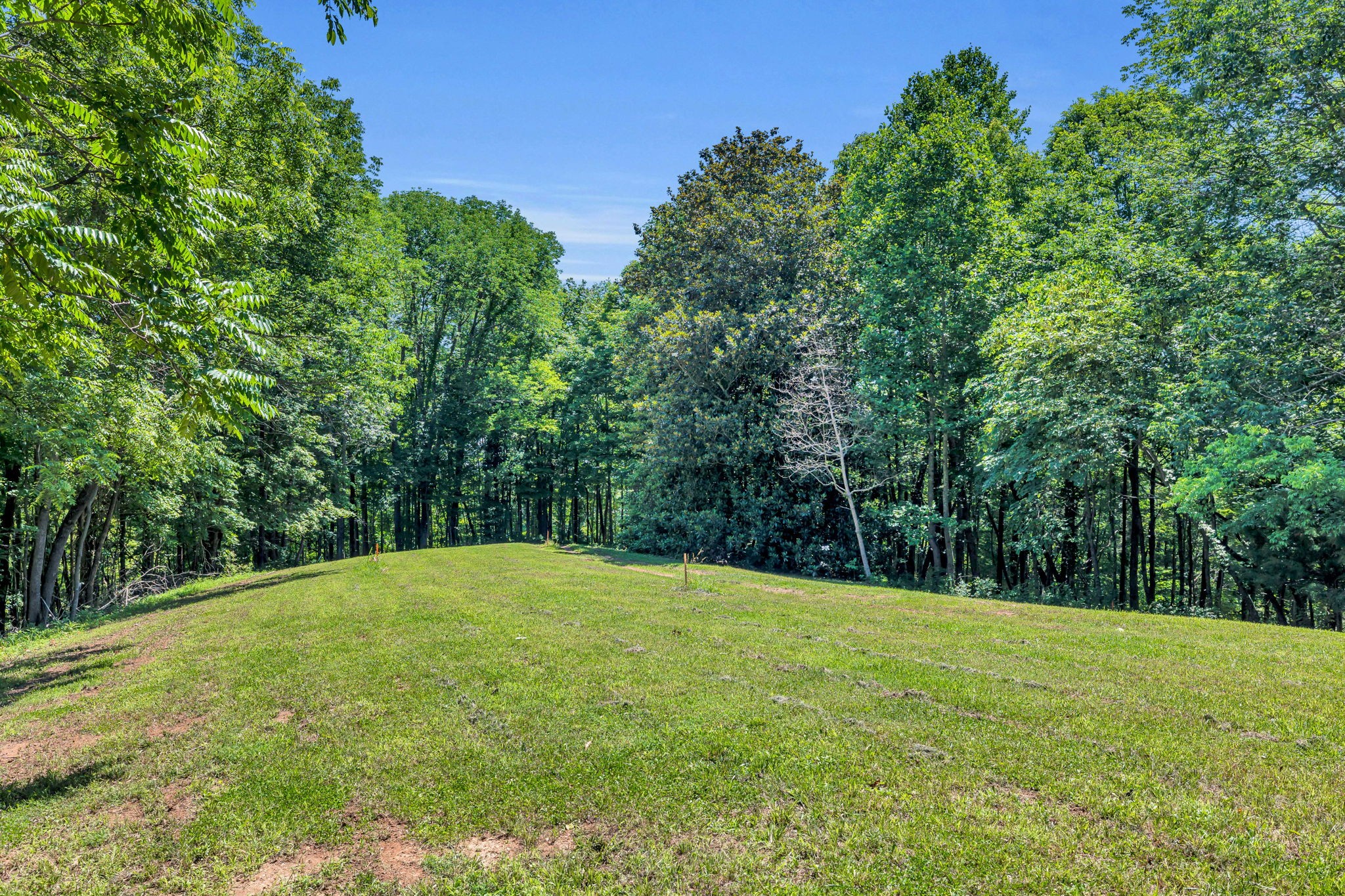 0 Lickton Pike Goodlettsville, TN 37072 - Photo 7 of 29 a view of basketball court