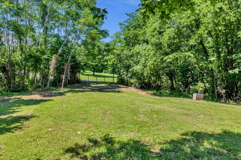 a view of a park with trees in the background