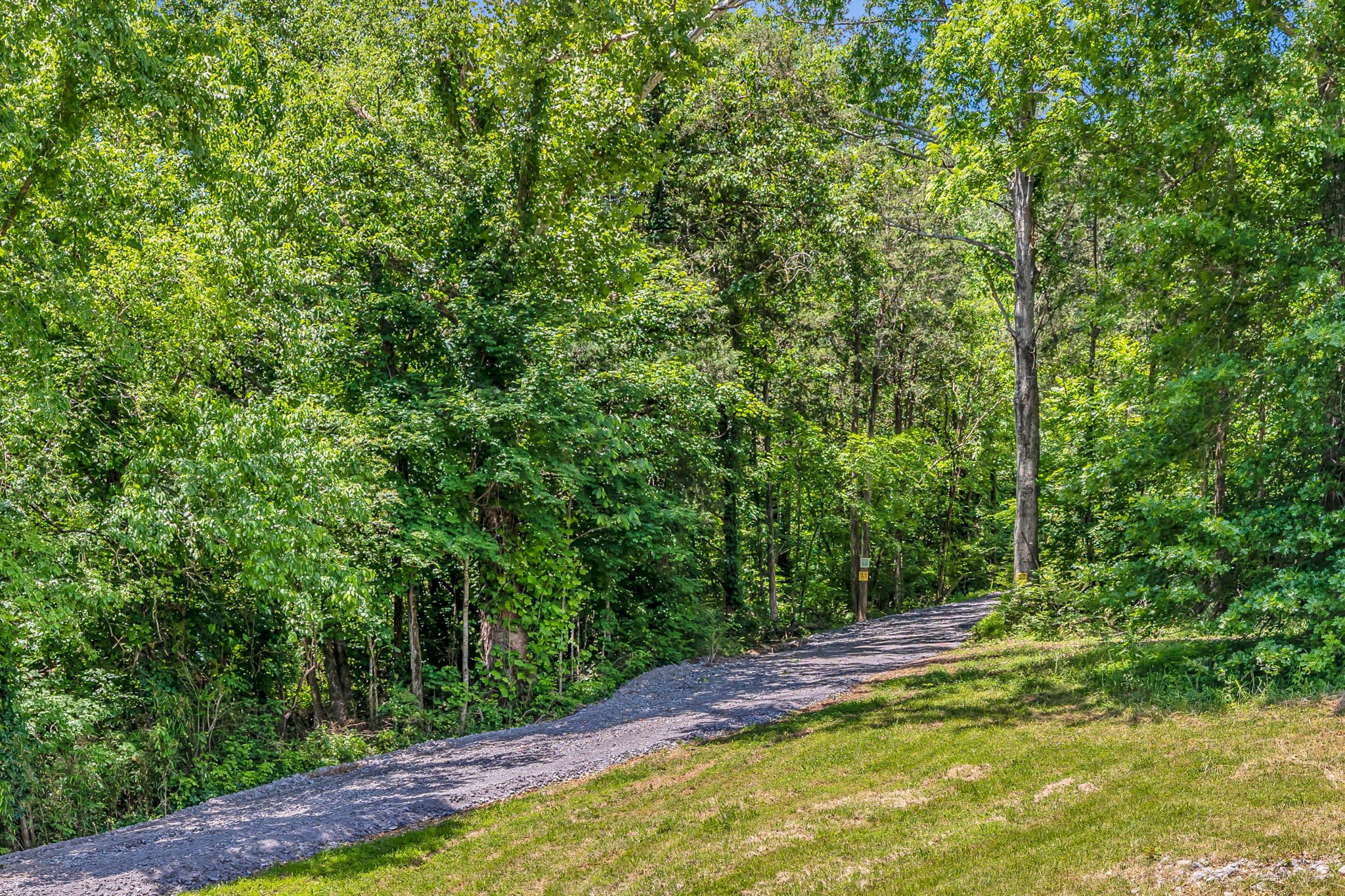 0 Lickton Pike Goodlettsville, TN 37072 - Photo 9 of 29 a view of yard with green space