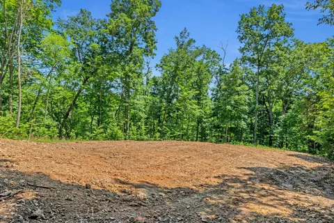 a view of a tree with a yard