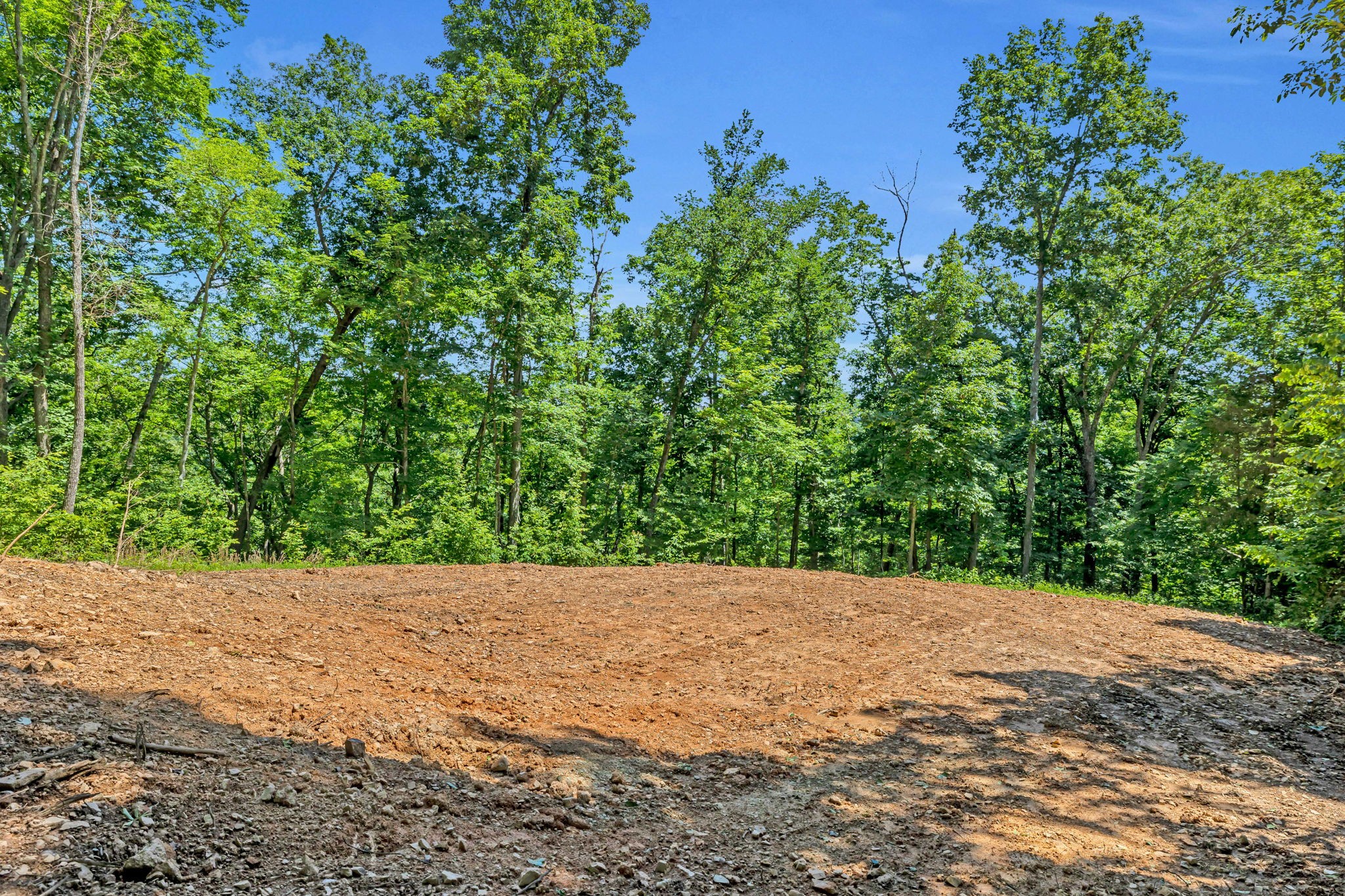 0 Lickton Pike Goodlettsville, TN 37072 - Photo 10 of 29 a view of a tree with a yard
