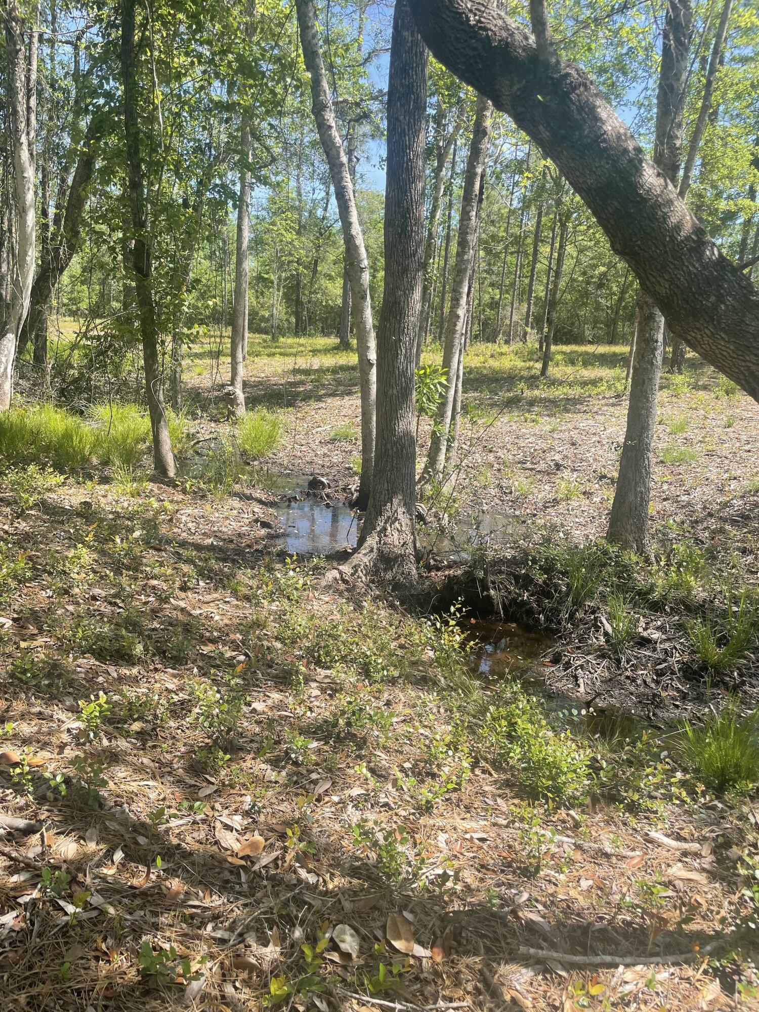1093 Crowder Chapel Road DeFuniak Springs, FL 32433 - Photo 5 of 7 a view of backyard with green space