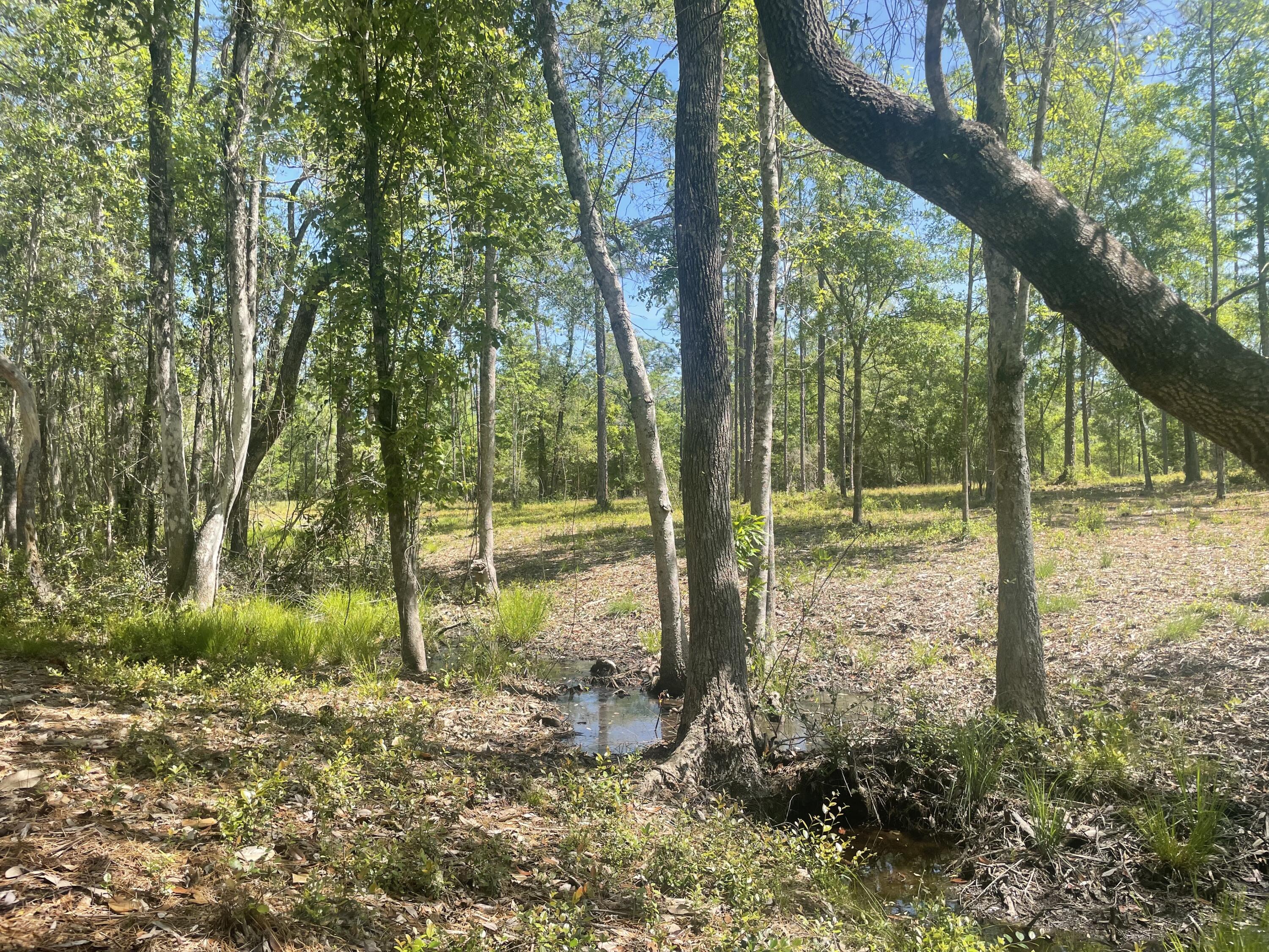 1093 Crowder Chapel Road DeFuniak Springs, FL 32433 - Photo 6 of 7 a view of outdoor space with swimming pool