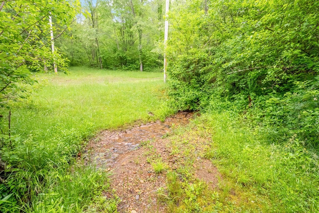262 Hylton Road Laurel Fork, VA 24352 - Photo 44 of 47 Gallery Image 44