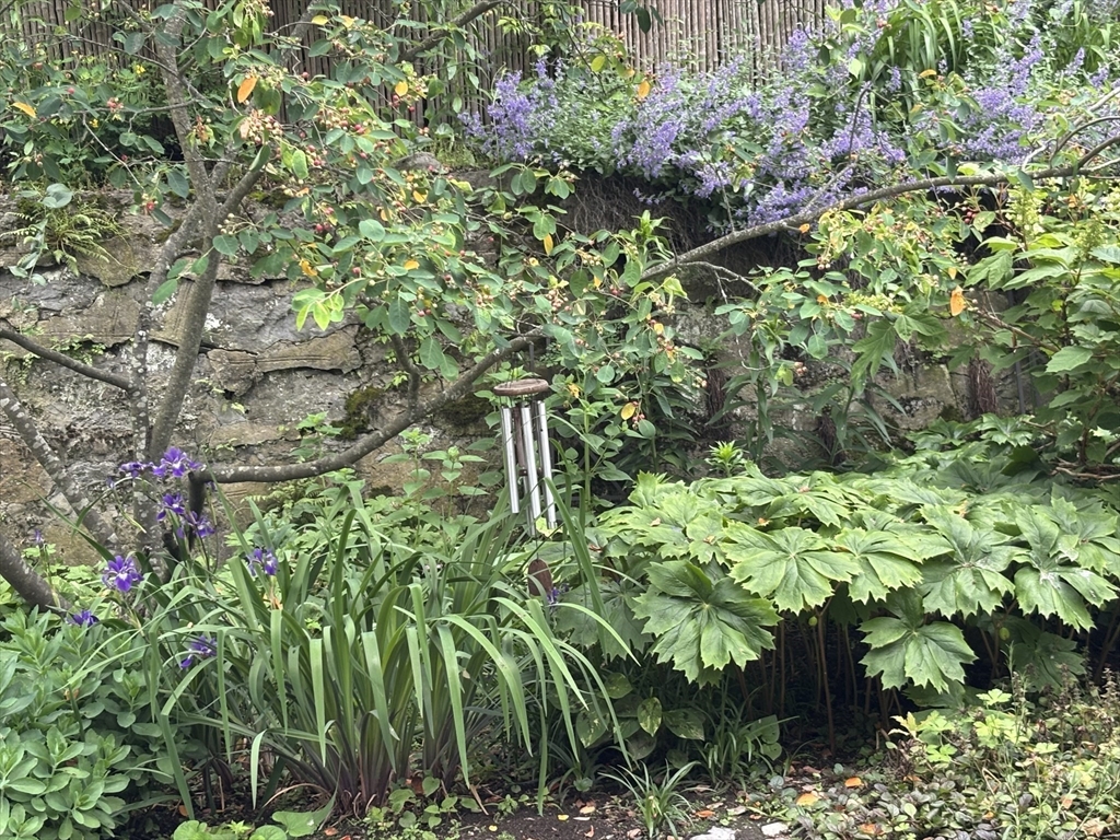 36 Alveston Street Boston, MA 02130 - Photo 15 of 38 a backyard of a house with lots of green space