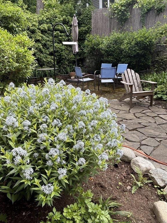 36 Alveston Street Boston, MA 02130 - Photo 33 of 38 a view of backyard with sitting area and garden