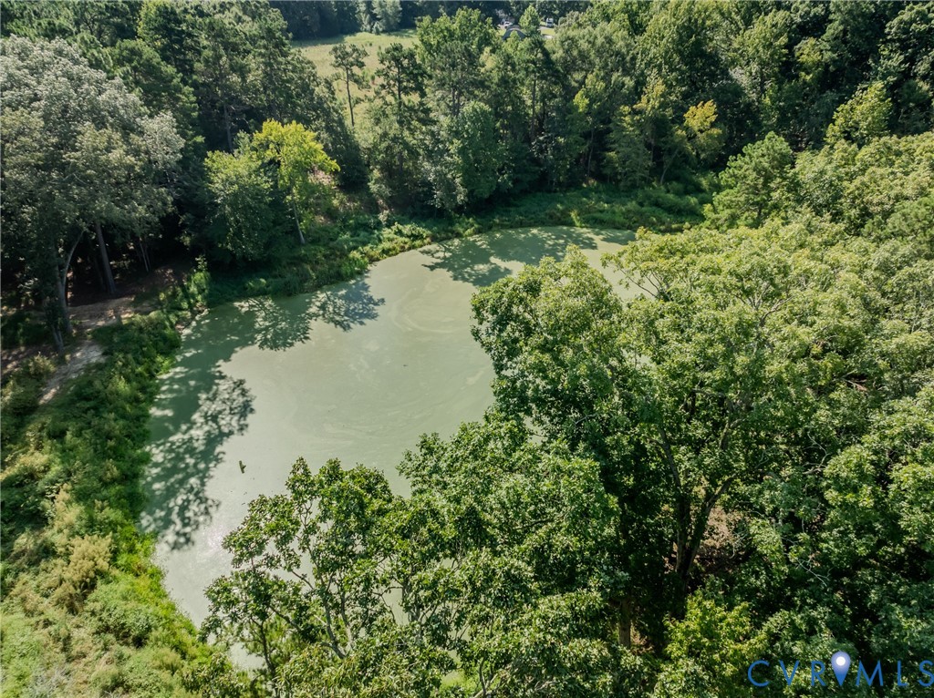 6721 Amelia Springs Road Jetersville, VA 23083 - Photo 4 of 16 a view of a lake with a house