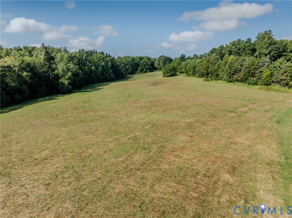 6721 Amelia Springs Road Jetersville, VA 23083 - Photo 5 of 16 a view of an outdoor space and a yard